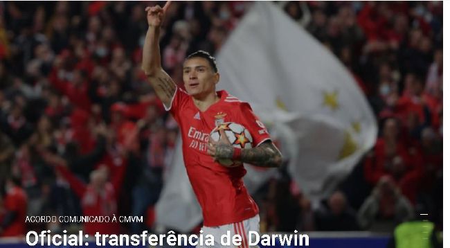 北岛玲精品视频在线观看
